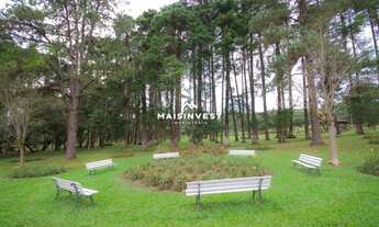 Imagem 7: Chácara com 7 dormitórios à venda, 38000 m² por R$ 45.000.000,00 - Alphaville Graciosa - P