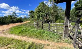 Imagem 6: FAZENDA EM ITANAGRA/BA COM PLANTAÇÃO DE EUCALIPITO E PRESA PERMANENTE