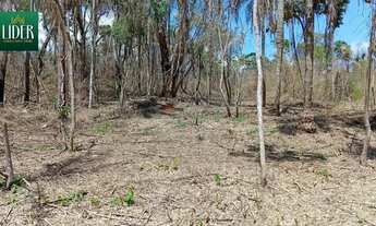 Imagem 3: Imóvel para venda tem 1000 metros quadrados em Terra Preta (Terra Preta) - Mairiporã - SP