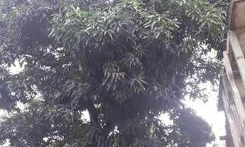 Imagem 3: Casa na popular velha