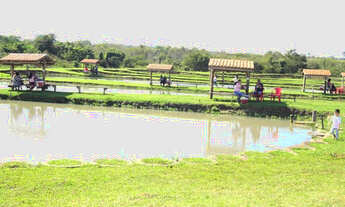 Imagem 5: Chacara Pesqueiro Margens da Rod. 376 a 6km da cidade Nova Andradina -MS