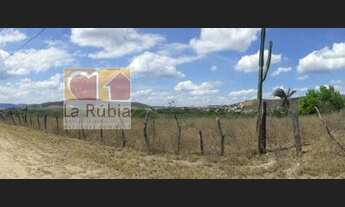 Imagem 3: Área 140 mil m² totalmente plana em Jacobina Bahia