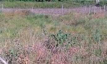 Imagem 2: Lote em cantagalo, rio das ostras, 8x30