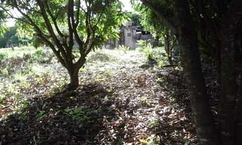 Imagem 5: Chacara 9.500m² com um barracão, muita água, terra boa/Jaboticatubas, temos varias opções