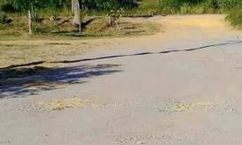 Imagem 4: Lote em cantagalo, rio das ostras, 8x30