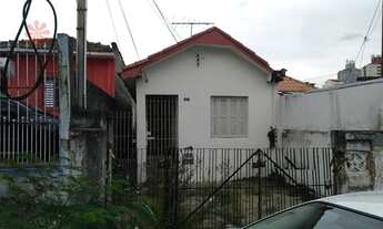 Imagem: Terreno Padão em Vila Granada - São Paulo