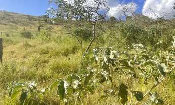 Imagem 4: Chácara Bairro Santa Paula