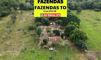 Imagem 6: Fazenda região de Duere conta com 68 alqueires