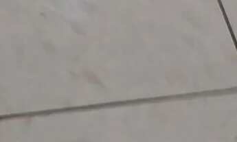 Imagem 6: Kitnet 1/4 amplo banheiro voz e tanque de lavar roupas conjugados