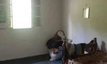 Imagem: )Casa para venda possui 40 metros quadrados