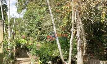 Imagem 6: Oportunidade Interior de São Paulo