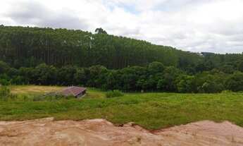 Imagem 3: Chácara Urbana Curitiba, Lamenha Pequena, 5.850m², 1Km Justo Manfron