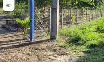 Imagem 2: VENDE - SE CHÁCARA 70/100 mts