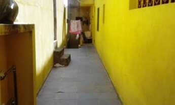 Imagem 2: Jd das Palmas - kit