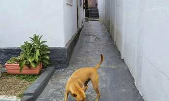 Imagem 5: Vende-se Casa no bairro Vila Fiori