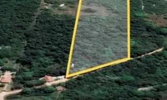 Imagem 4: Vendo terreno próximo a taiba em São Gonçalo do Amarante