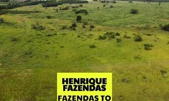 Imagem 7: Fazenda região de Duere conta com 68 alqueires