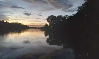 Imagem 5: Lote/Terreno para venda com 400 mil metros quadrados em araticu - Barcarena - Pará