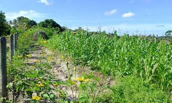 Imagem 3: Chácara São Cristóvão