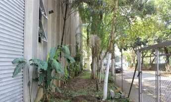 Imagem 7: SAO PAULO - Galpão/Depósito/Armazém - JURUBATUBA