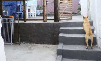 Imagem 6: Vende-se Casa no bairro Vila Fiori