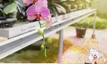 Imagem 2: Salvador | Apartamento com 69m2| 3 quartos, sendo 1 suíte