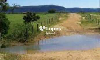 Imagem 6: Fazenda 5.200 hectares, Barra do Garças-MT