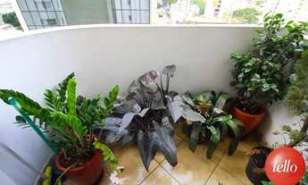 Imagem 5: São Paulo - Apartamento Padrão - Moema