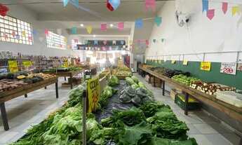 Imagem 5: Empresa Sacolão boturussu