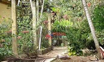 Imagem 3: Oportunidade Interior de São Paulo