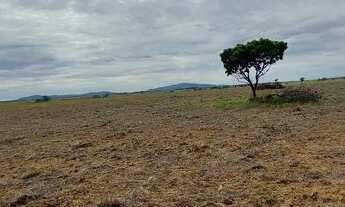 Imagem 4: Área de lavrado 103 hectares 53 kl da cidade titulada sem dívidas