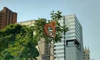 Imagem 6: Excelente imóvel comercial, prédio novo sendo reformado tipo AAA, moderno, ótima localizaç