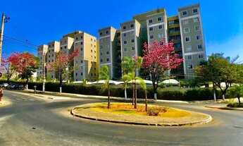 Imagem 2: CONTAGEM - Padrão - Cabral