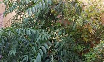 Imagem 5: Casa Criméia leste