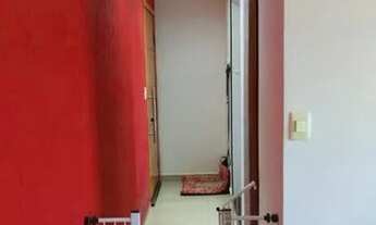 Imagem 5: APARTAMENTO - ALVES DIAS - SP