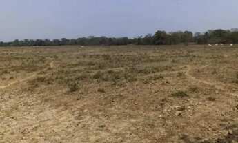 Imagem 7: Fazenda para Venda em Centro Bonfinópolis de Minas-MG - 3037