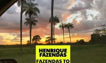 Imagem 3: Fazenda região de Duere conta com 68 alqueires