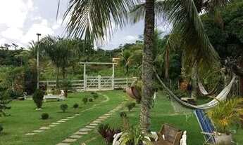 Imagem 5: Sítio maravilhoso em Cantagalo R.O