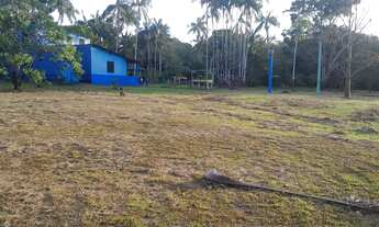 Imagem: Vende-se excelente sitio