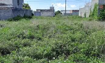 Imagem 2: Vendo terrenos Loteamento Aquarius 4 - Aruana