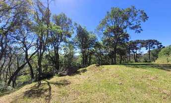 Imagem 3: AREA DE TERRAS COM VISTA DA MONTANHA !
