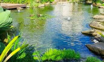 Imagem 3: Alugar ou Vender Condomínio Jardins de Provence