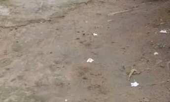 Imagem 3: Vende-se uma casa