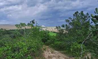 Imagem 6: SÍTIO EM ABADIÂNIA - 28,8 HECTARES (5,9 ALQUEIRES