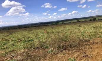 Imagem 4: Fazenda de 35 alqueires