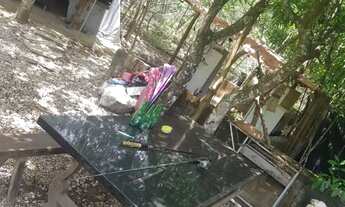 Imagem 2: Pescaria Pesque & Pague 24h camping