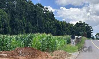 Imagem 7: Lindo Sitio 5,4 ha a 7km do Lago Negro