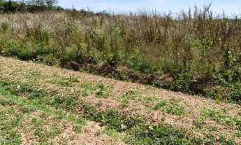 Imagem 2: Terreno Ibiúna-SP