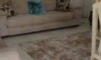 Imagem 6: Imperdivel Casa 2 qua,com piscina,área gourmet caxias