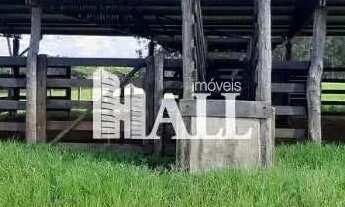 Imagem 6: Sítio rural, em Bady Bassitt